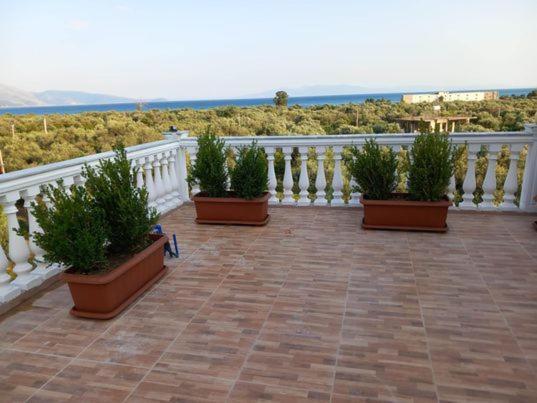 צ'פרו Irini'S Guesthouse מראה חיצוני תמונה
