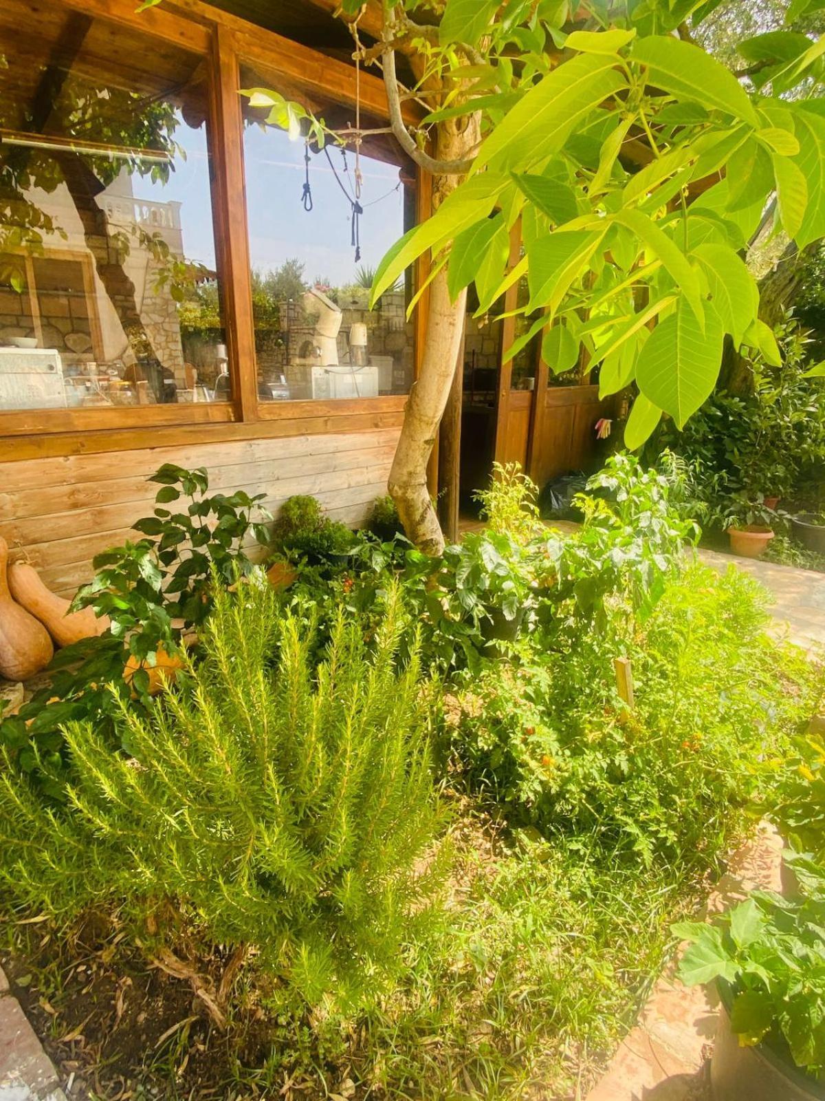 צ'פרו Irini'S Guesthouse מראה חיצוני תמונה